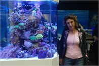 SAM_6367